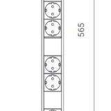 Pistorasiapilari, Pillar